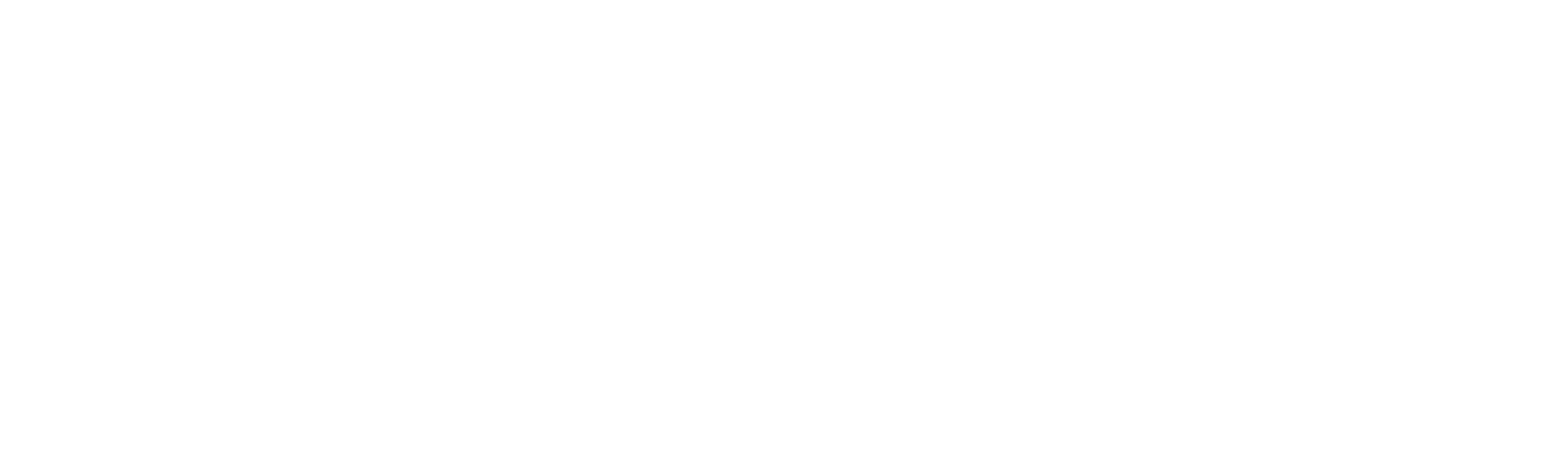 ASET Carga Dedicada